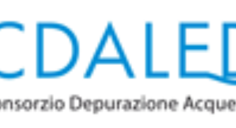 Consiglio consortile